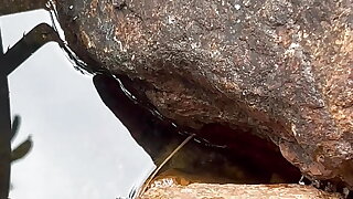 Cumpilation cumshots. Guaranteed to make you come. Young Asian just 18 smooth twink jerking and cumming