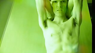 British Freddie Sunfields in Green Prysm Show