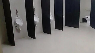 I Almost Got Caught by the Security Guard Exposing Myself in the Public Restroom.