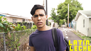 Numero 28 - LatinLeche